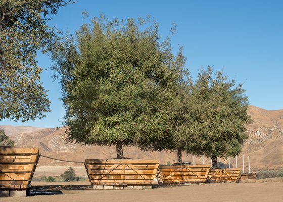 BRIGHTVIEW TREE COMPANY - Updated June 2026 - 3200 W Telegraph Rd ...