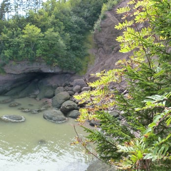Fundy National Park - Parks Near Me - Alma, New Brunswick