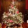 Photo of Santa & Mikey's Fresh Christmas Trees