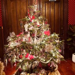 Santa & Mikey's Fresh Christmas Trees - Christmas 2021