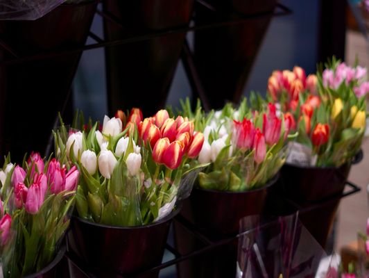 Turnip Truck Natural Market by null