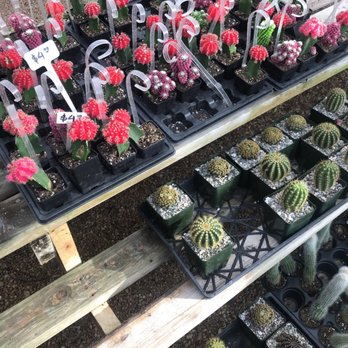 Isaac Farms - Nurseries & Gardening Near Me - Miami, Florida Isaac Farms - Nurseries & Gardening Near Me - Miami, Florida