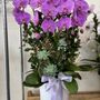 Photo of 365 Flowers
