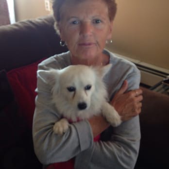 Grandmas Pet Sitting - Pet Sitting Near Me - Toms River, New Jersey