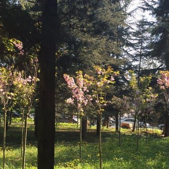 İTÜ - İTÜ de bahar - Colleges & Universities Near Me - Istanbul, 34
