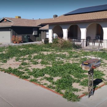 Divine Design Landscaping - Landscaping Near Me - Phoenix, Arizona