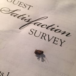 The Richmonde Hotel - No need to fill out the customer satisfaction survey. I think this roach I caught ON MY BED should suffice.