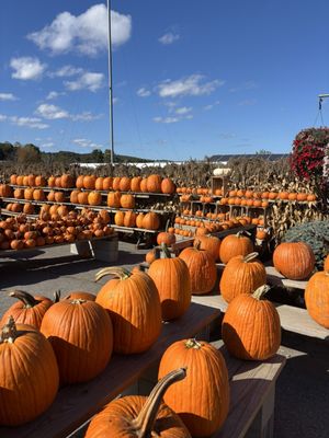 Cider Hill Farm by null