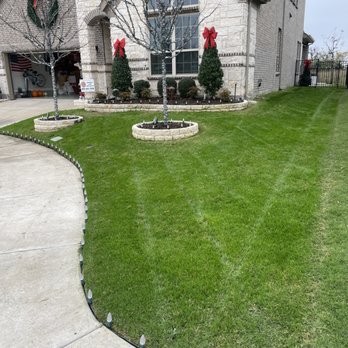 Verde Lawn DFW - a front yard with christmas wreaths - Lawn Services Near Me Verde Lawn DFW - a front yard with christmas wreaths - Lawn Services Near Me