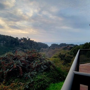 Holiday Inn Express Fort Bragg - Forest View from our balcony - Hotels Near Me - Fort Bragg, California Holiday Inn Express Fort Bragg - Forest View from our balcony - Hotels Near Me - Fort Bragg, California