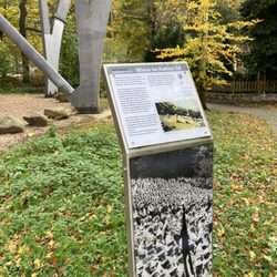 Kurpark - Kurpark