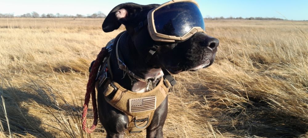 Slide of Semper Fi Contracting