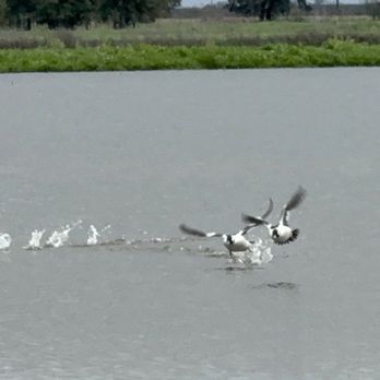 Cosumnes River Preserve - Parks Near Me - Galt, California