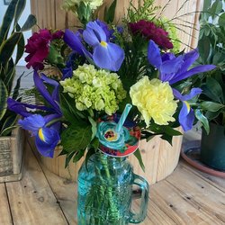 Darling Daisy Flowers & Gifts