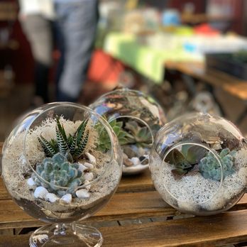 Fun With Plants - Team Building Activities Near Me