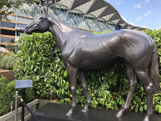 Ascot Racecourse by null