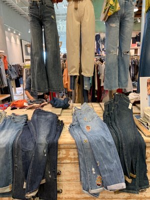 Anthropologie by null