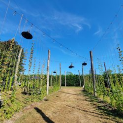 Long Island Farm Brewery - Outside, lots of seating too