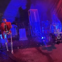 Paranormal Cirque