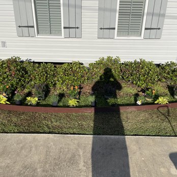 Acadia Lawn Care - the shadow of a person standing in front of a mobile home - Lawn Services Near Me - Rayne, Louisiana Acadia Lawn Care - the shadow of a person standing in front of a mobile home - Lawn Services Near Me - Rayne, Louisiana