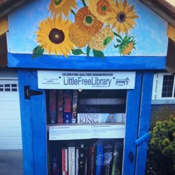 Little Free Library - Daisies atop blue library