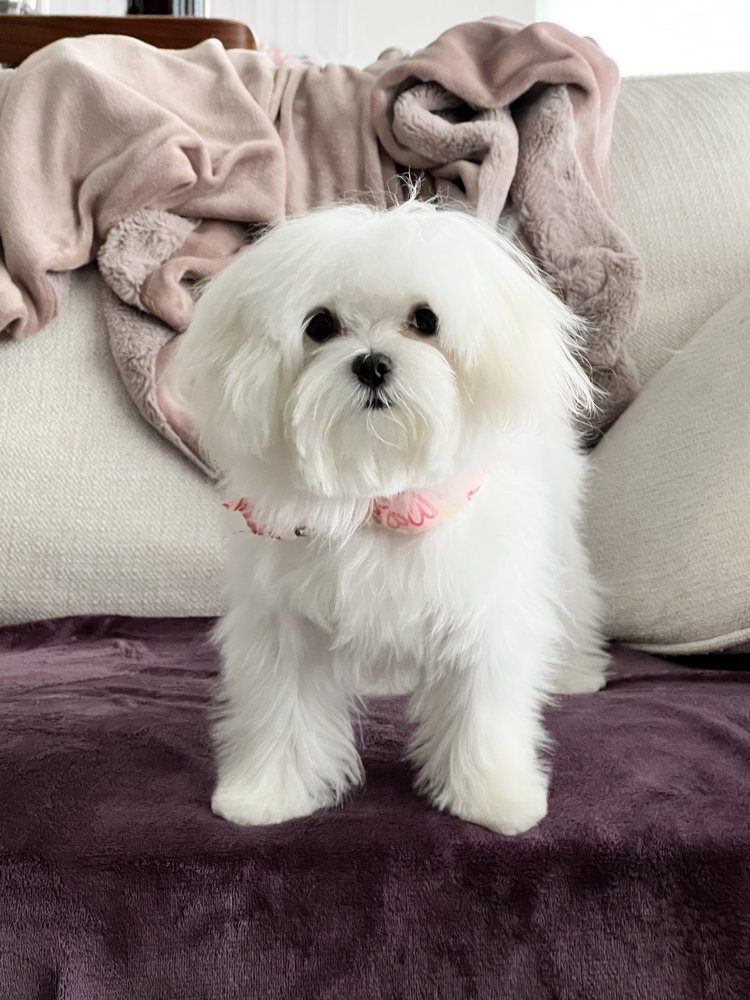 EAST SIDE PET RANCH Updated October 2024 13 Photos & 12 Reviews