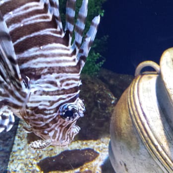 Cameron Park Zoo - Zoos Near Me - Waco, Texas