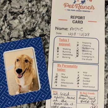 Remington Pet Ranch - Pet Boarding Near Me - Buda, Texas Remington Pet Ranch - Pet Boarding Near Me - Buda, Texas