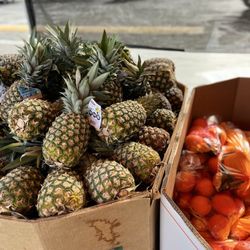 Grocery Outlet