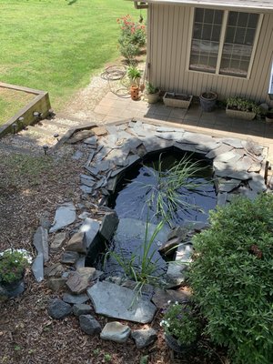 Treehouse Vineyards by null