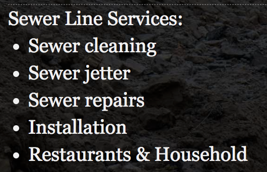 Slide of A Sewer Genie