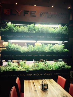 LYFE Kitchen by null