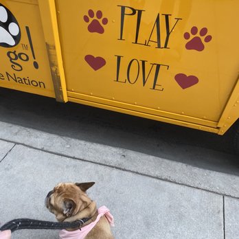 Fido To Go - a dog with a leash - Pet Stores Near Me