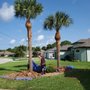 Photo of BR's Quality Tree & Landscaping Service