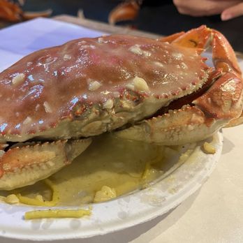 The Kickin’ Crab - Mesquite - Whole Dungeness crab - Seafood Near Me - Mesquite, Texas