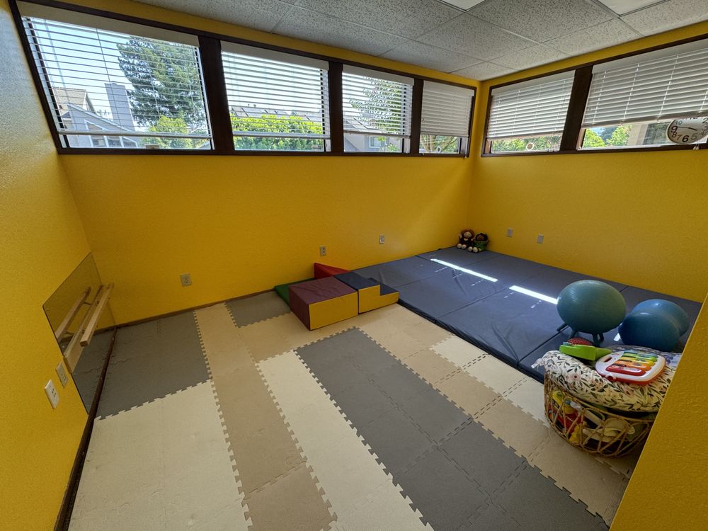 Fun Zone Kids Therapy - child therapist in San Jose, CA