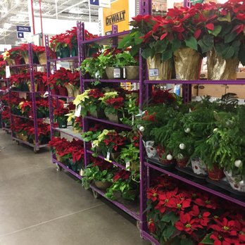 Lowe's Home Improvement - Points avail here... - Hardware Stores Near Me - Keller, Texas