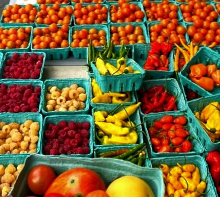 Eckerton Hill Farm by null