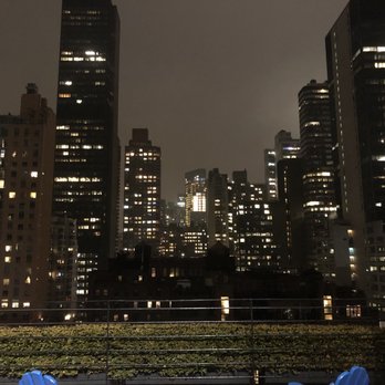 Pod 51 - Hotels Near Me - New York, New York