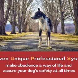 Pups Dog Obedience Training - From their website