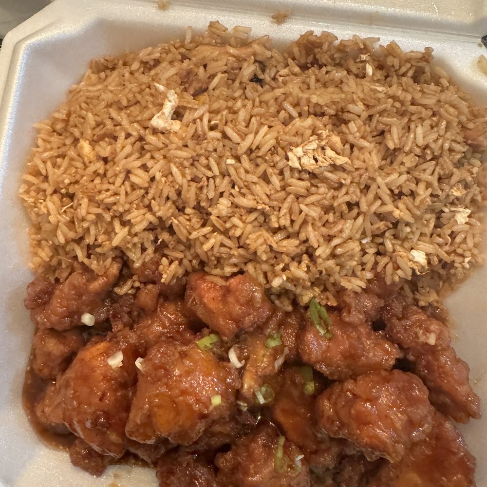 Silver Star Chinese Restaurant - rice and meat in a styrofoam container - Dim Sum Near Me - Jacksonville, Florida Silver Star Chinese Restaurant - rice and meat in a styrofoam container - Dim Sum Near Me - Jacksonville, Florida