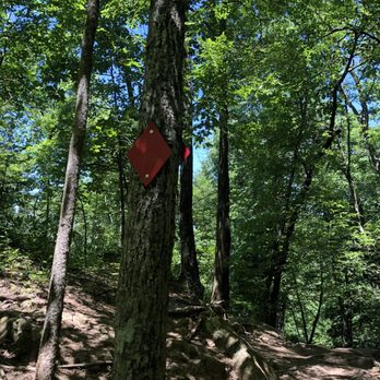 Devil's Den State Park - Parks Near Me - Winslow, Arkansas