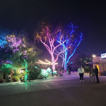 Zoolights - Zoos Near Me - Phoenix, Arizona
