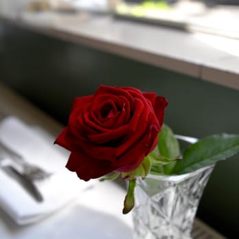 Café Modern - a rose at every table - Modern European Near Me - Amsterdam, New Hampshire Café Modern - a rose at every table - Modern European Near Me - Amsterdam, New Hampshire