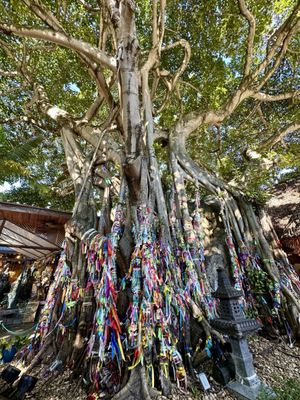 Casa Vigil Miami by null Casa Vigil Miami by null