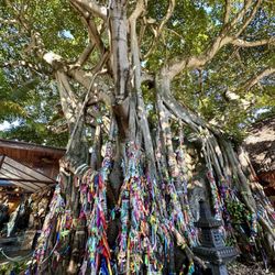 Casa Vigil Miami