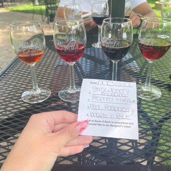 Burgdorf's Winery - a hand holding a wine glass - Wineries Near Me - Webberville, Michigan Burgdorf's Winery - a hand holding a wine glass - Wineries Near Me - Webberville, Michigan