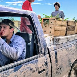 JC Rose Farms