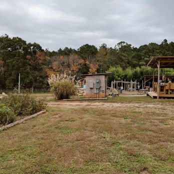 Honeysuckle Tea House - Coffee & Tea Near Me - Chapel Hill, North Carolina
