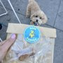 Photo of Bark Bodega